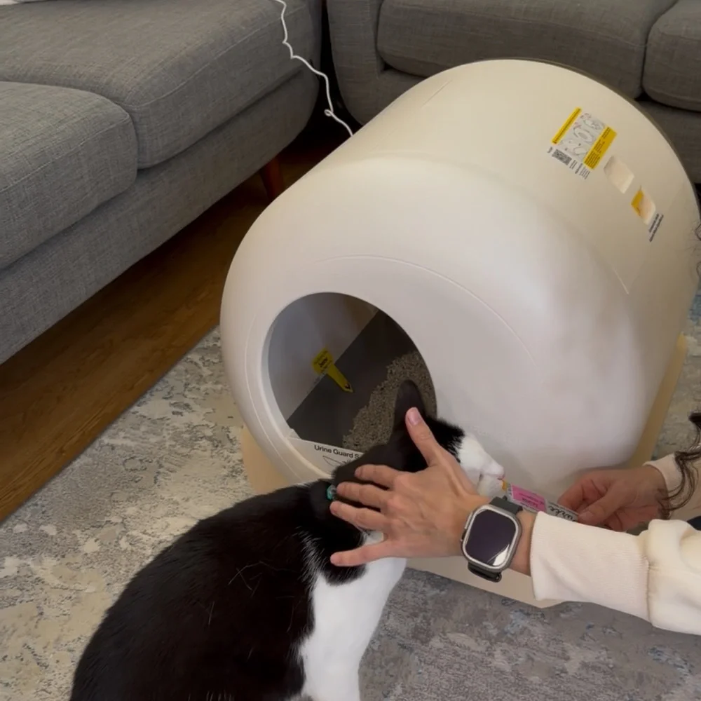 Modern White Cat Litter Box